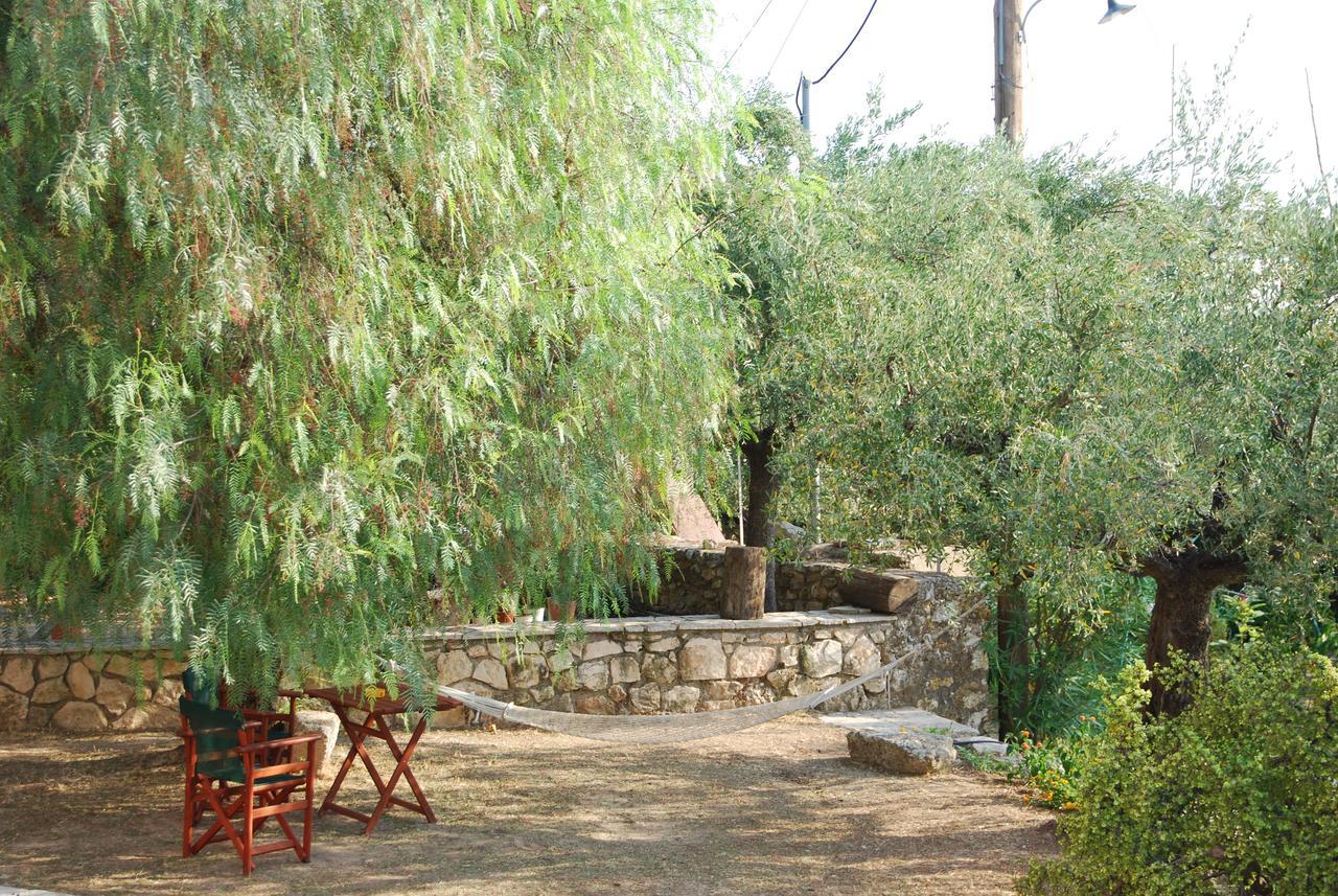 阿纳托利拉布莱昂酒店 Agia Marina  外观 照片